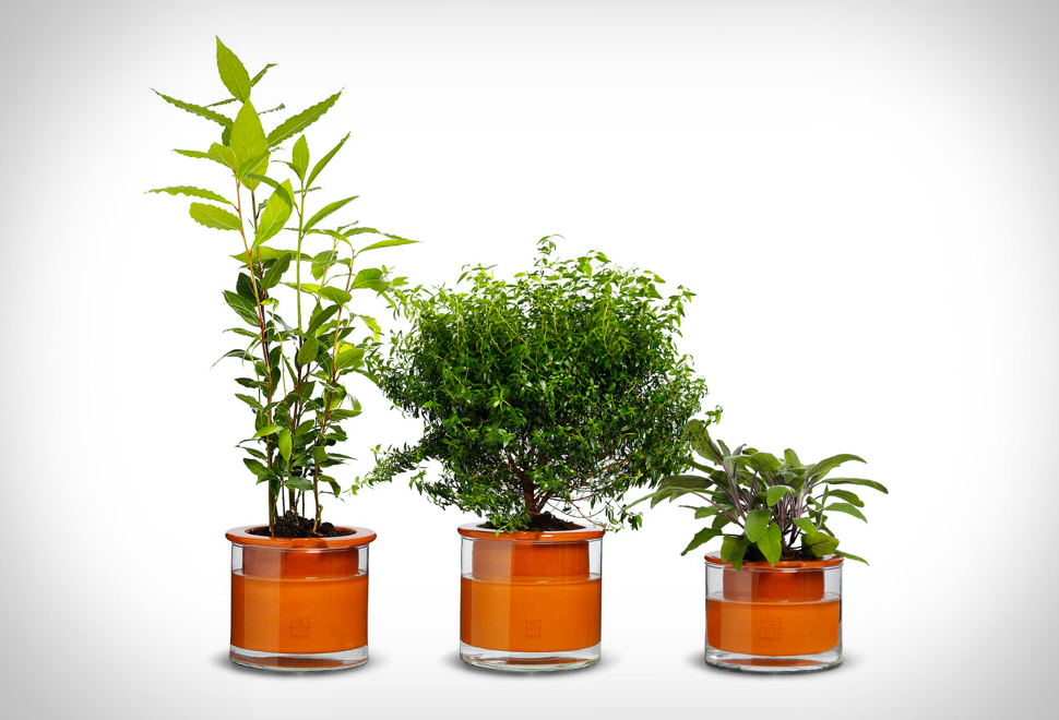 Vaso De Plantas Que Se Rega Automaticamente - Self Watering Pots | Image
